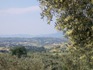 La Collina - sullo sfondo Assisi